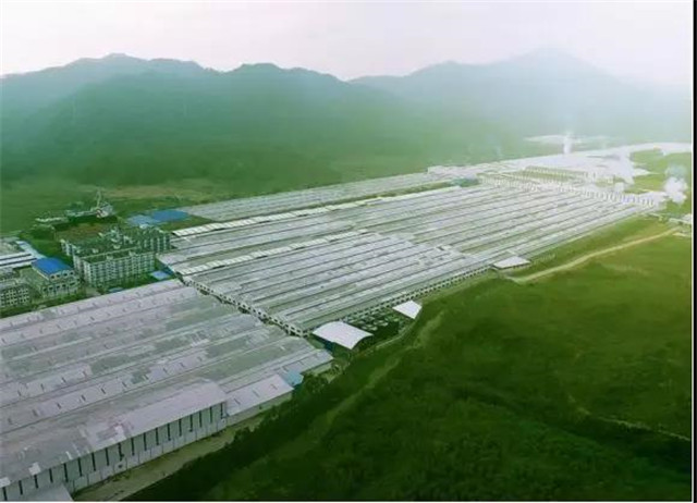 茄子视频在线免费观看陶瓷集团的绿色工厂