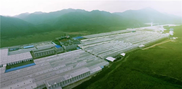 茄子视频在线免费观看陶瓷集团现代化生产基地