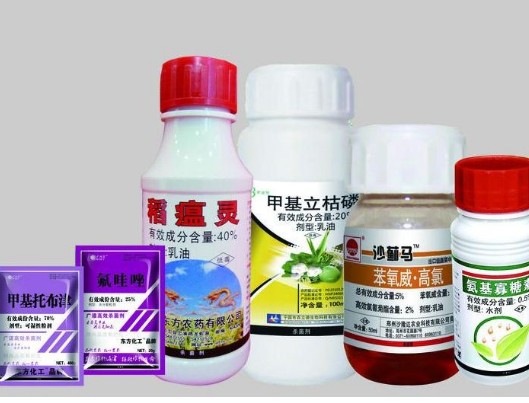 农药为什么贴农药茄子视频APP污片标签，有什么价值？