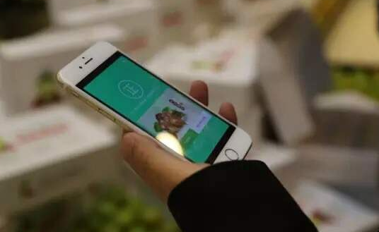 中药饮片生产信息追溯管理系统 中药饮片生产信息追溯管理系统实现的意义和价值