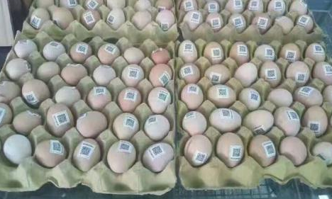 鸡蛋二维码质量可追溯性系统价格多少？