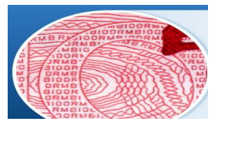 微缩茄子视频APP污片印刷原 证书茄子视频APP污片技术微缩茄子视频APP污片印刷制作