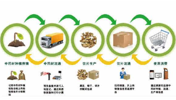 中药材生产全过程品质溯源系统 建立中药材生产全过程品质可溯源系统体系