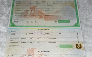 茄子视频APP污片票证制作印刷所用的茄子视频APP污片技术有哪些