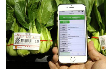 蔬菜追溯管理系统有什么优势？又能带来哪些价值？